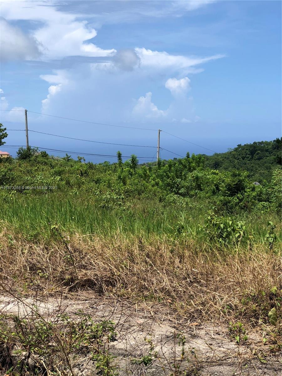 MINARD PEN PART OF MAINARD PEN, JA — #A11873258