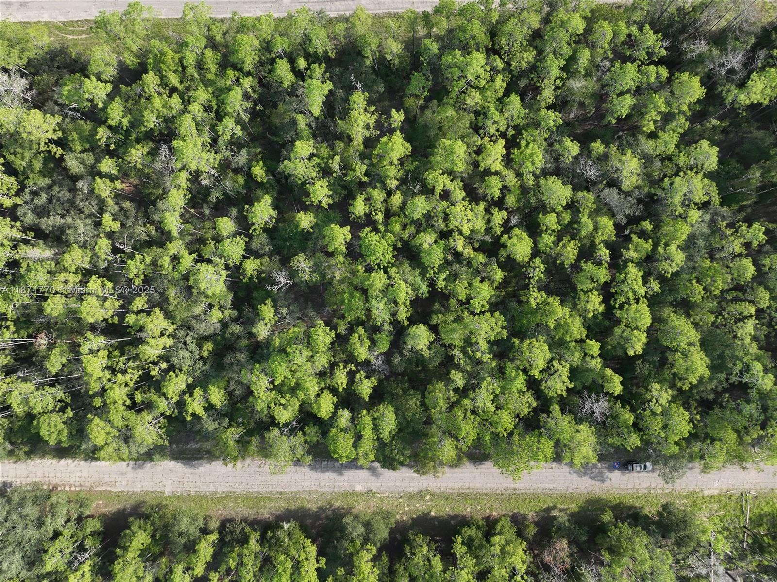 598 E MARQUETTE LN, Other City – In The State Of Florida FL 34434 — #A11874770