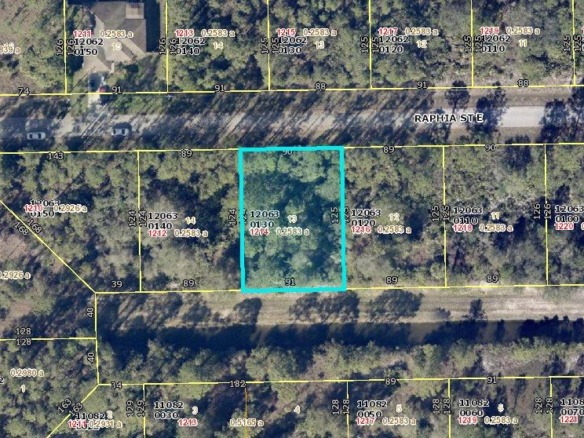 1214 Raphia Street E, Lehigh Acres FL 33974 — #R10901737
