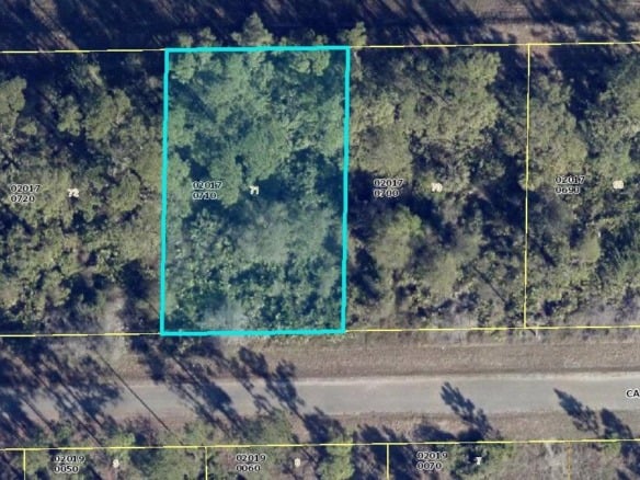 1113 Capri Street E, Lehigh Acres FL 33974 — #R10910183