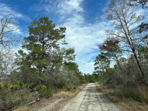 4508 Briarcliff Avenue, Sebring FL 33875 — #F10423946