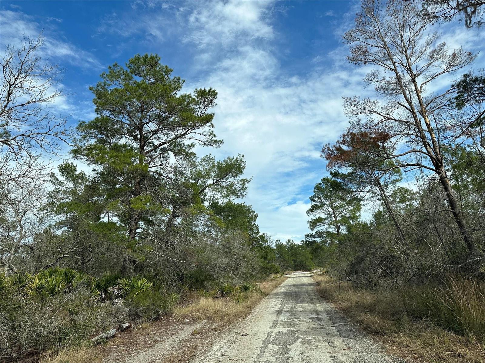 4508 Briarcliff Avenue, Sebring FL 33875 — #F10423946
