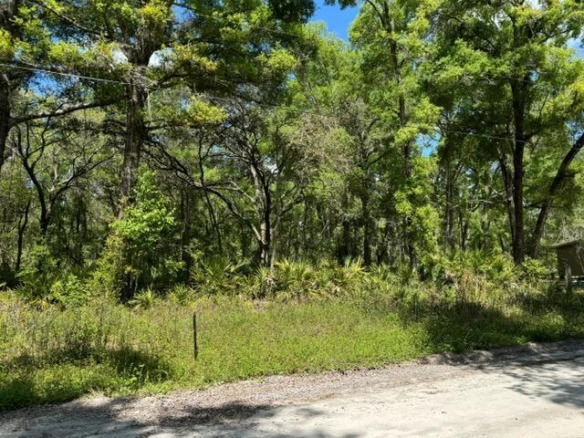 Tbd NE 472nd Avenue, FL 32680 — #R10974244