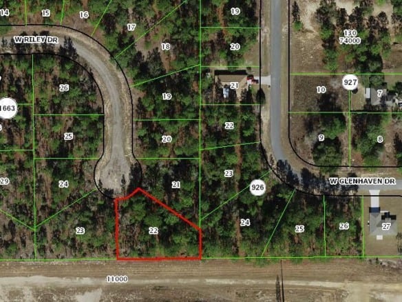 1005 W Riley Drive, FL 34434 — #R10984858