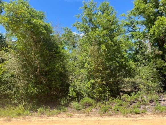 0 Hocking Street, FL 32420 — #R10989320