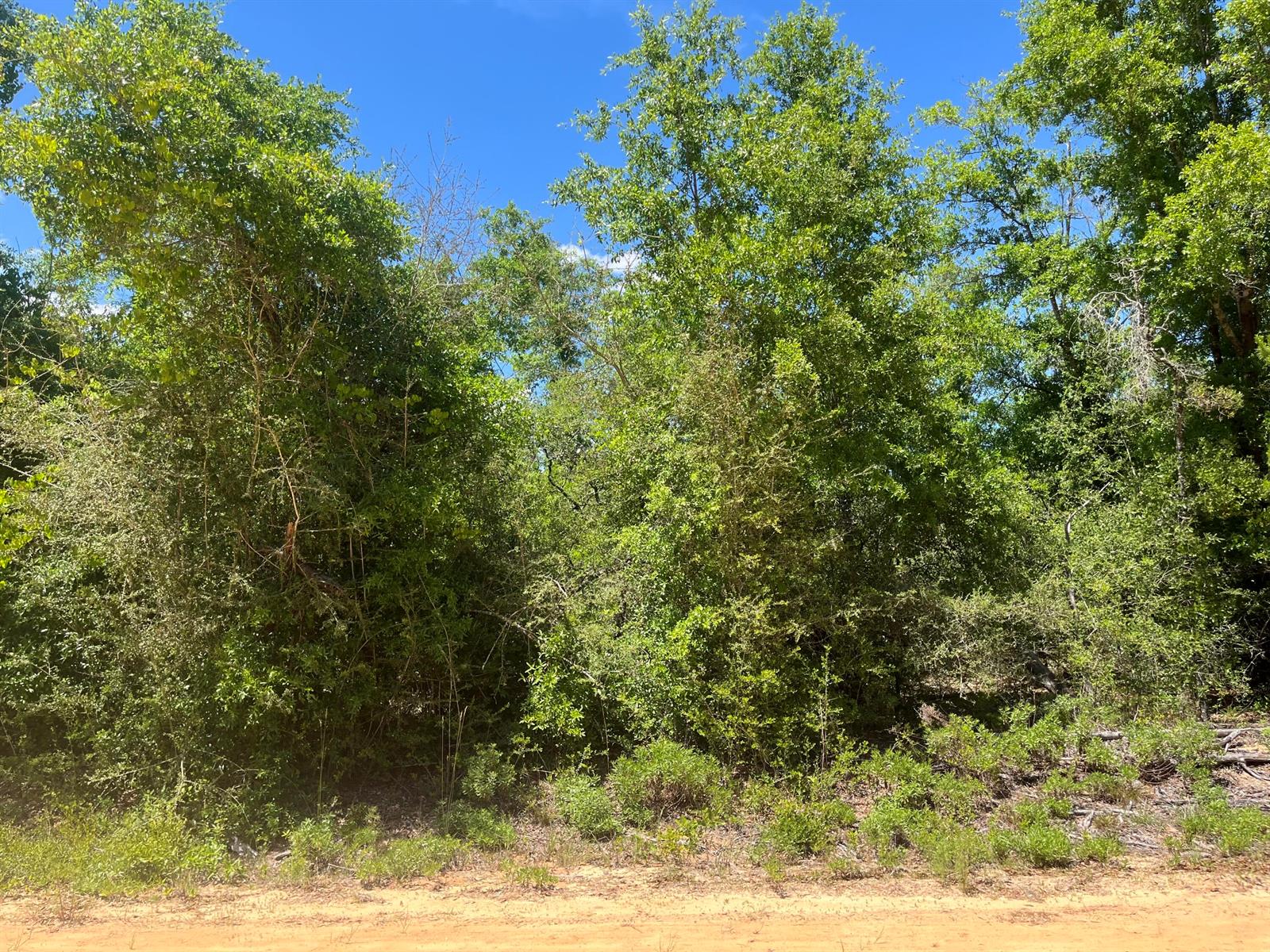 83dcefb7-8667 0 Hocking Street, FL 32420 — #R10989320