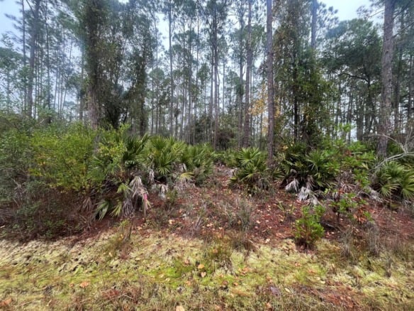 222 Marie Avenue, FL 32139 — #R10989931