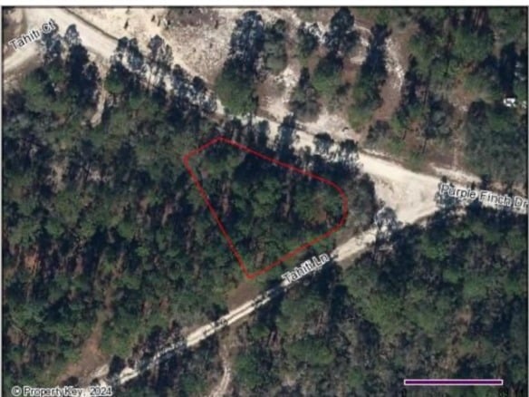 428 Tahiti Lane, Lake Placid FL 33852 — #F10445921