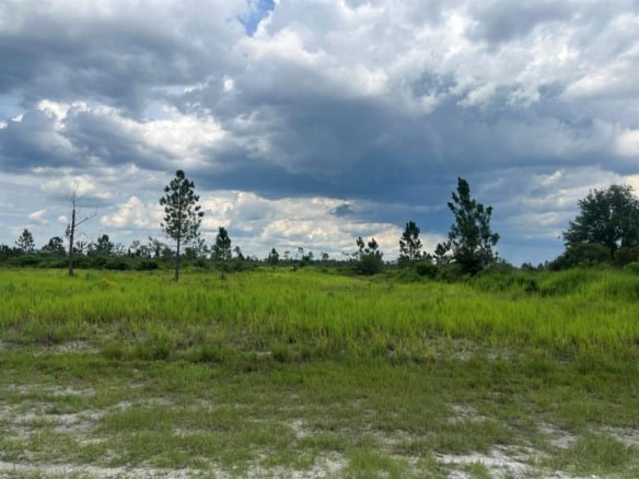 0 Pinnata Drive, Lake Wales FL 33898 — #R11003048