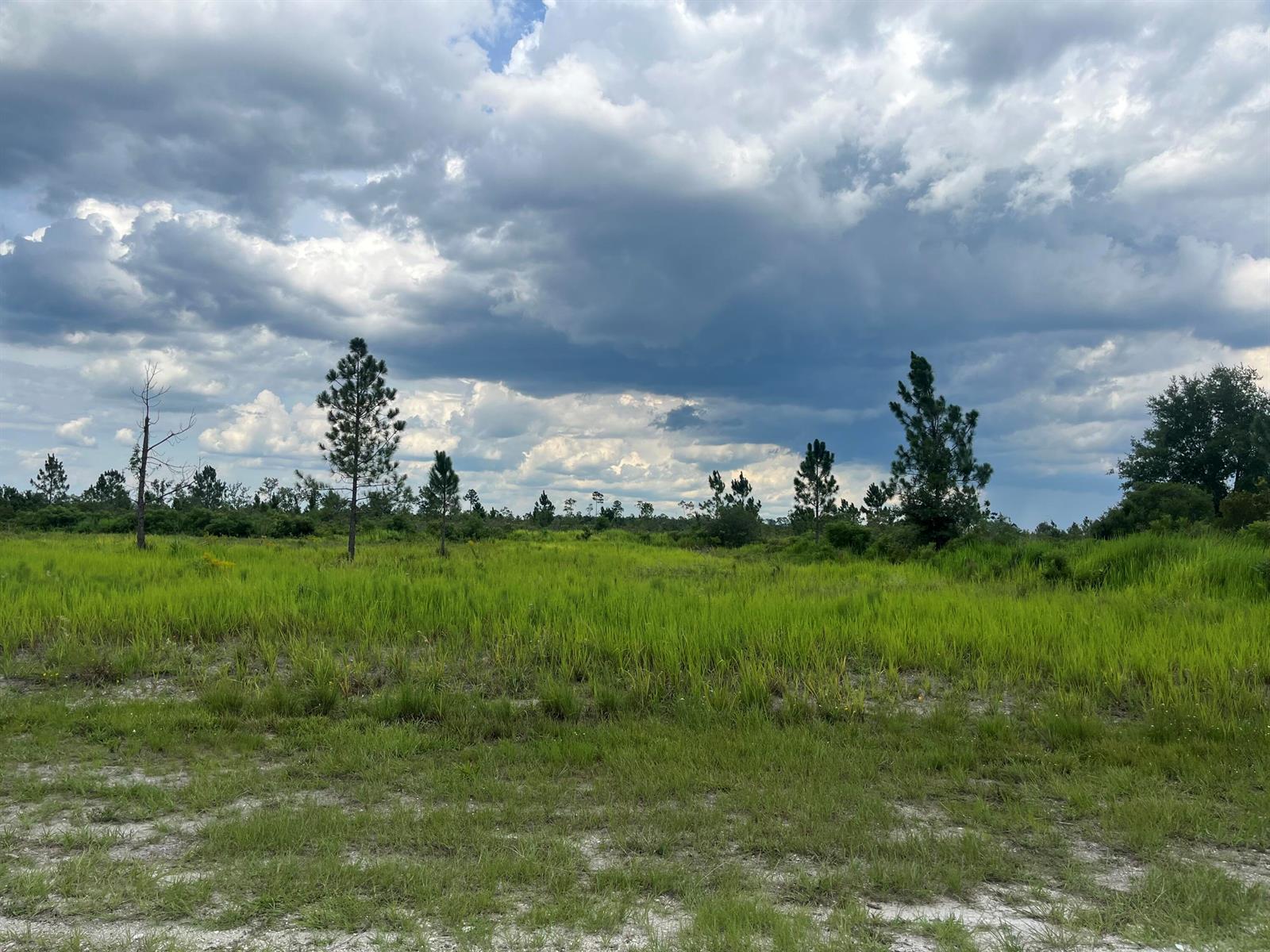 83dcefb7-8725 0 Pinnata Drive, Lake Wales FL 33898 — #R11003048
