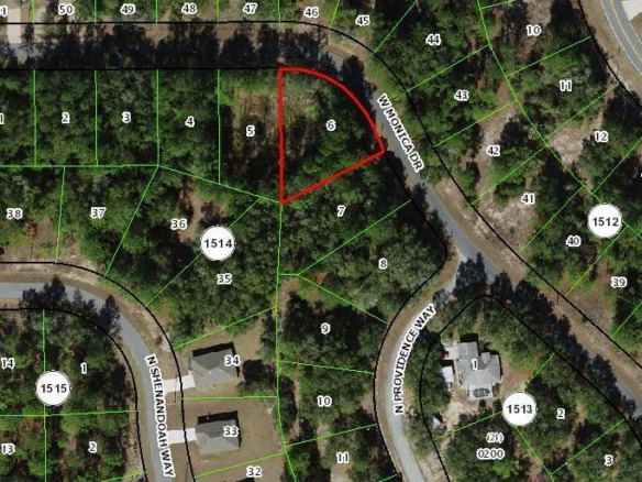 11894 N Monica Drive, FL 34433 — #R11006068