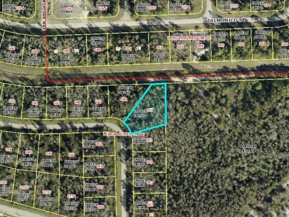 651 Lydia Street, Lehigh Acres FL 33974 — #R11008264