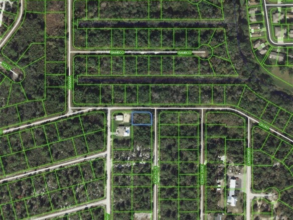 1218 Ailanthus Street, Lake Placid FL 33852 — #F10457259