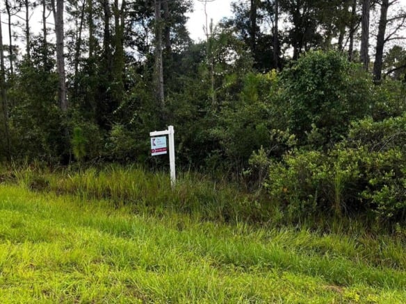 0 Sabal Street, Orlando FL 32833 — #R11016255