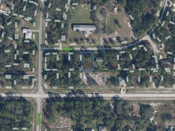 805 Gardenia Street, Lake Placid FL 33852 — #F10468313