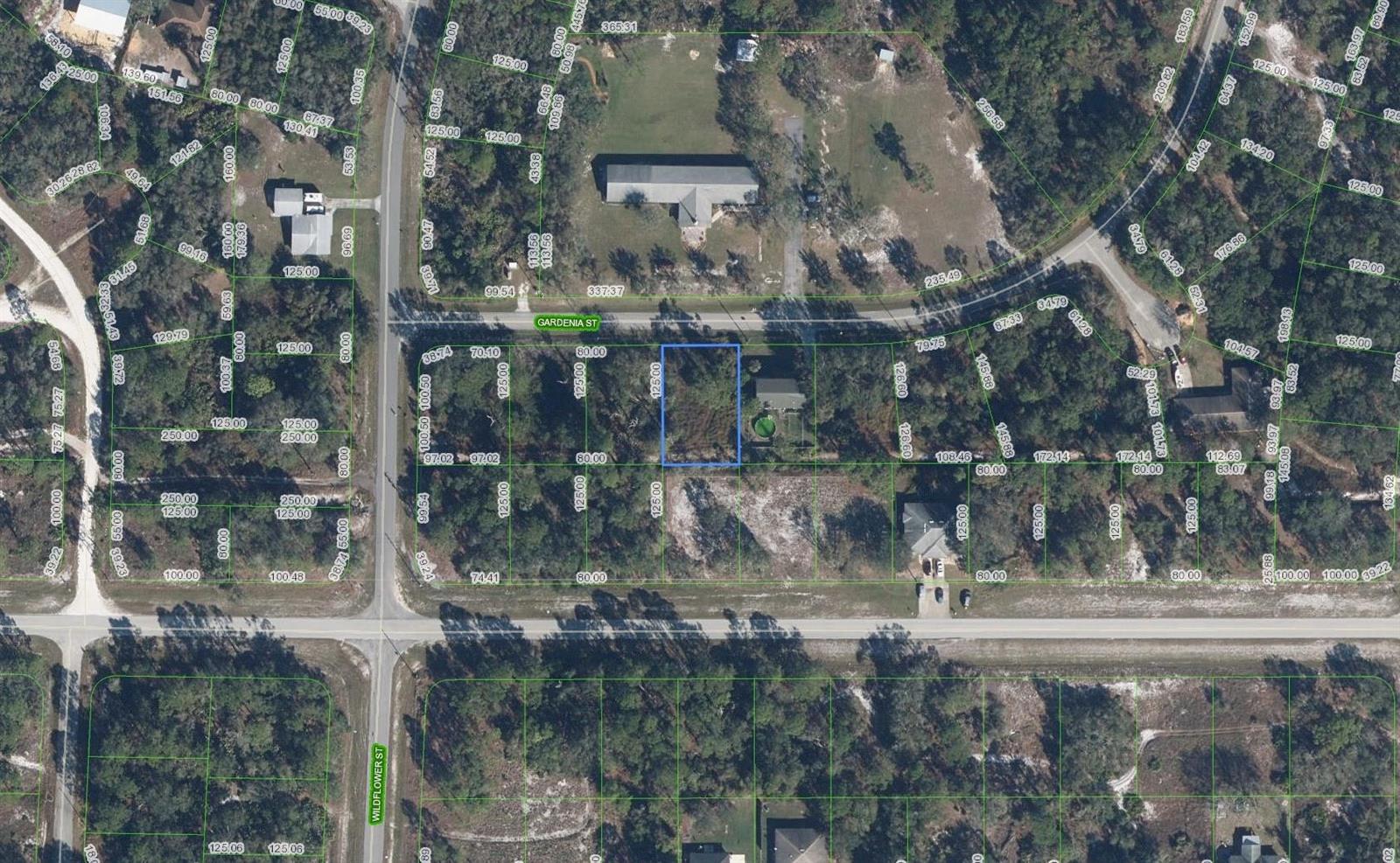 CREATOR: gd-jpeg v1.0 (using IJG JPEG v62), quality = 90 805 Gardenia Street, Lake Placid FL 33852 — #F10468313