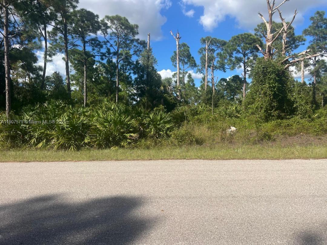 83dcefb7-908 521 ROOSEVELT AVE, Lehigh Acres FL 33936 — #A11907579