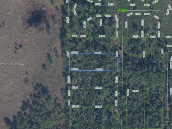 4705 Rhubarb Street, Sebring FL 33875 — #A11909649