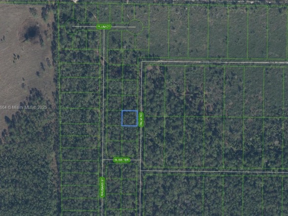 4817 Palm Road, Sebring FL 33875 — #A11909664