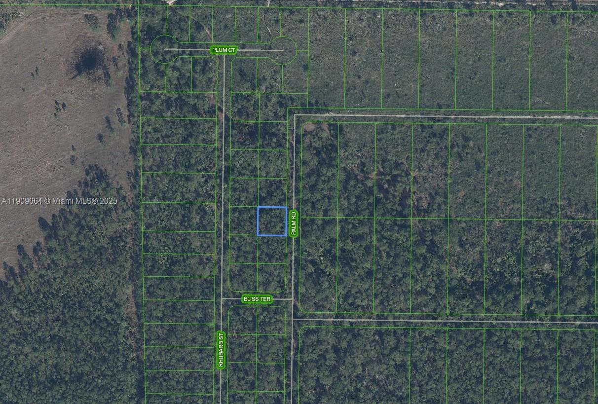 83dcefb7-990 4817 Palm Road, Sebring FL 33875 — #A11909664