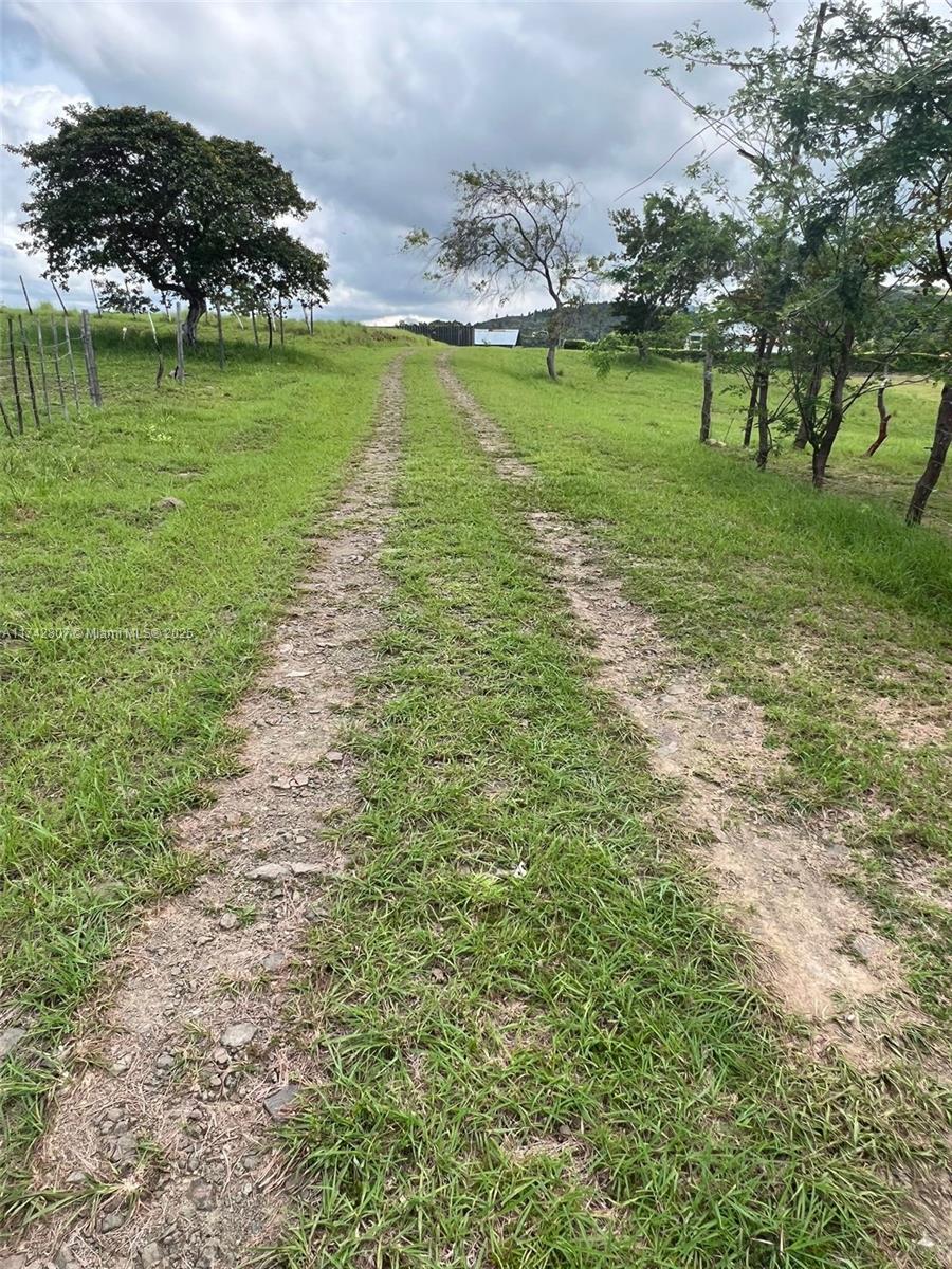 84b12bae-1080 Las Lajas Way Panama PTY Republicans of Panama, NY 00507 — #A11742807