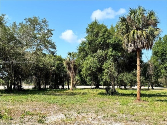 0 Magnolia Ave, La Belle FL 33935 — #A11842825