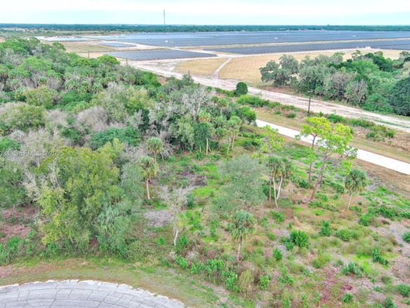 171 CAROUSEL AVE, La Belle FL 33935 — #A11929081