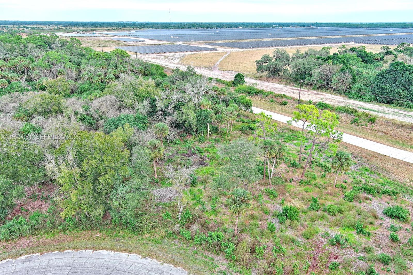 171 CAROUSEL AVE, La Belle FL 33935 — #A11929081