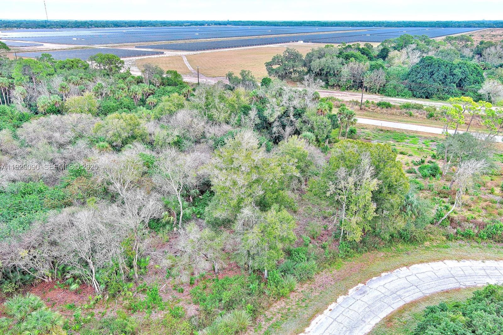 84b12bae-1335 173 CAROUSEL AVE, La Belle FL 33935 — #A11929090