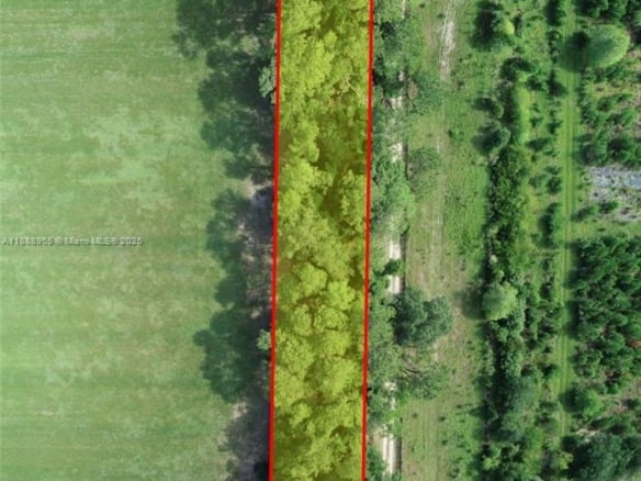 20220 NE 118th Ter, Other City – In The State Of Florida FL 32694 — #A11888955