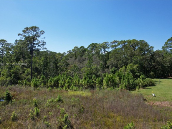 0 JB CARTER RD, Other City – In The State Of Florida FL 33844 — #A11942702
