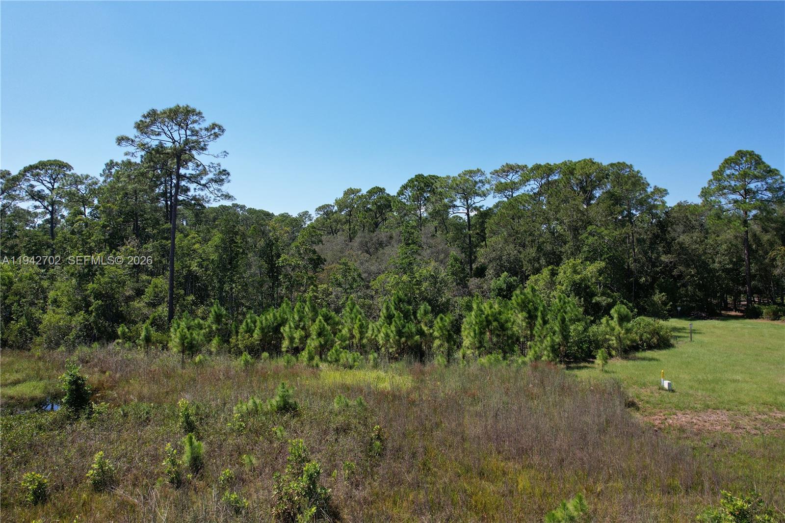default 0 JB CARTER RD, Other City – In The State Of Florida FL 33844 — #A11942702