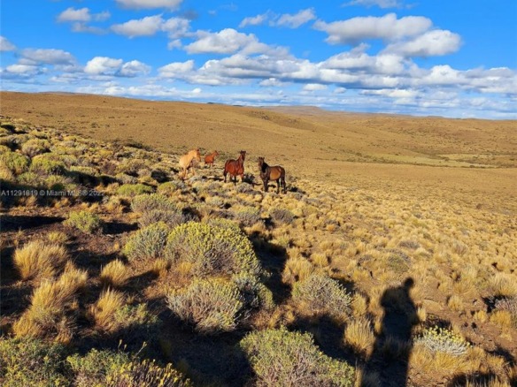 LA PATAGONIA Tehuelches Provincia del Chubut ARGENTINA, AR — #A11291819