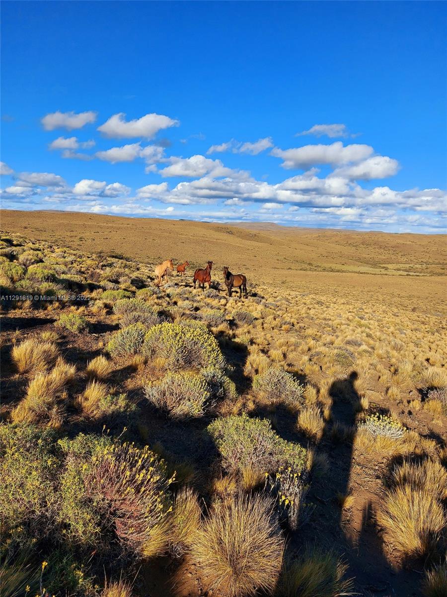 LA PATAGONIA Tehuelches Provincia del Chubut ARGENTINA, AR — #A11291819