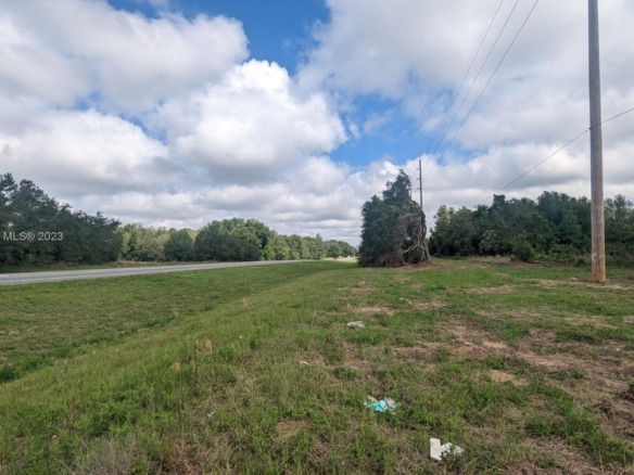 51 E Citrus Springs Blvd, Citrus Springs FL 34434 — #A11409867