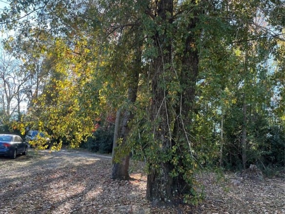 1316 Carrol ST, Other City – In The State Of Florida FL 32324 — #A11424563