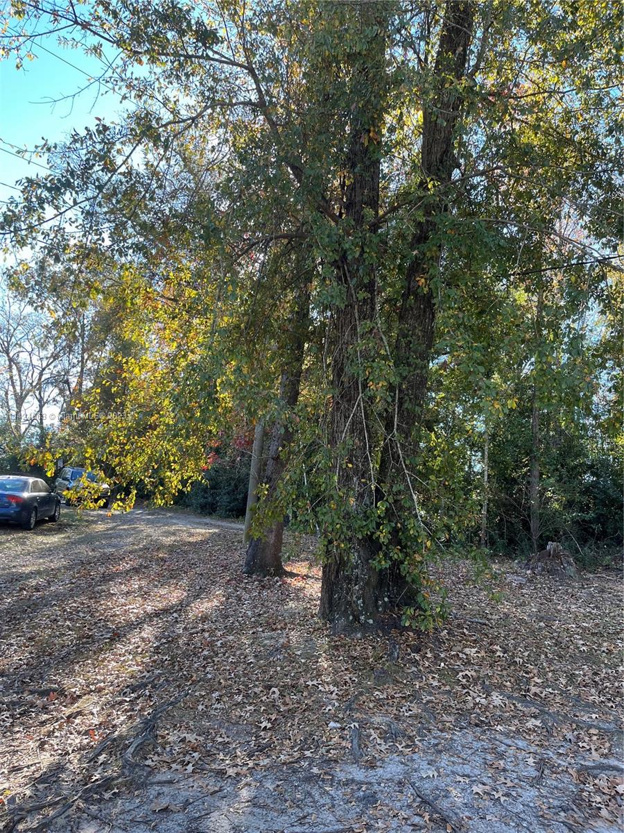 84b12bae-2441 1316 Carrol ST, Other City – In The State Of Florida FL 32324 — #A11424563