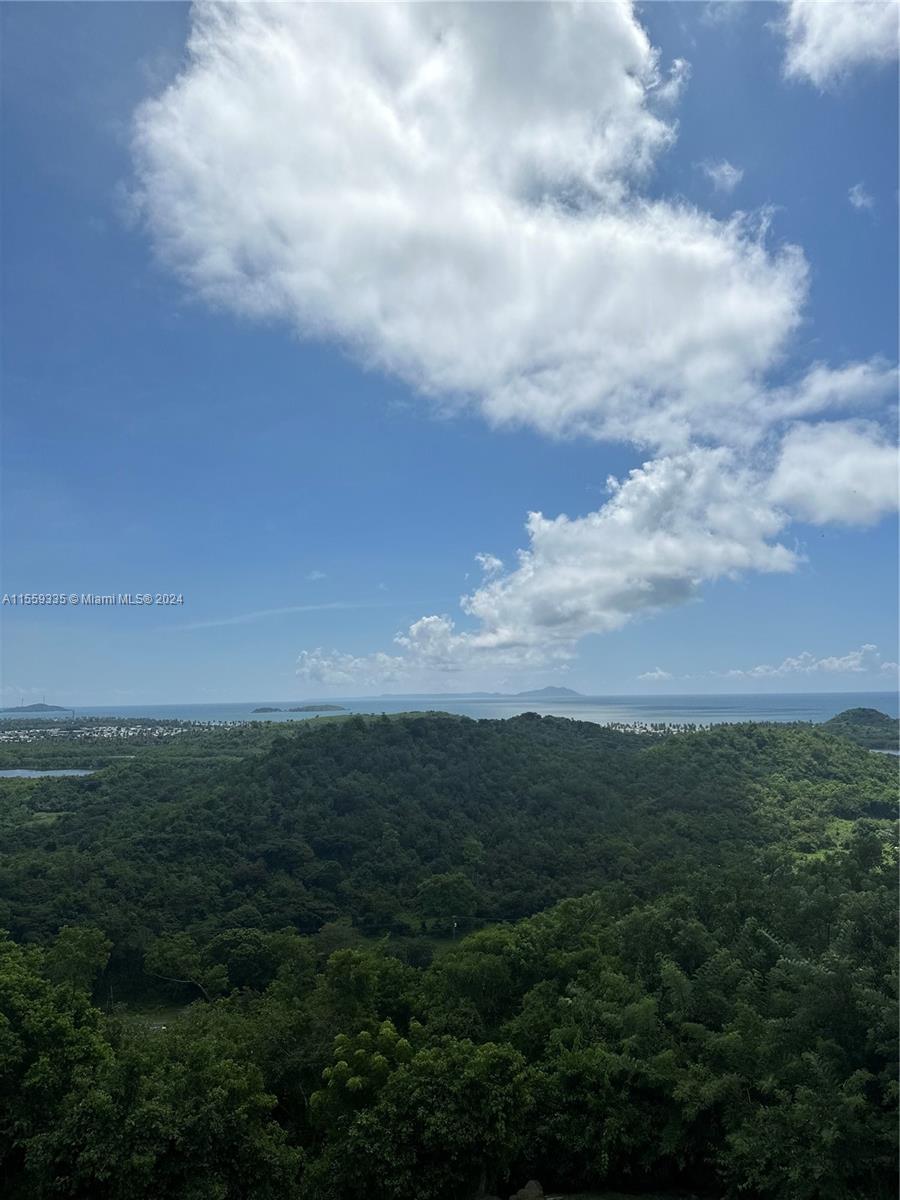 Barrio Anton Ruiz y PR – 925, HUMACAO, PR 00741 — #A11559335