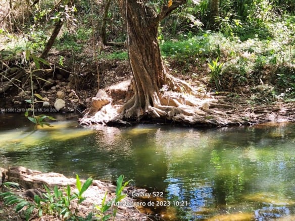 no # Puente de Piedra y Tacares Alajuela Grecia C R, CR — #A11586128