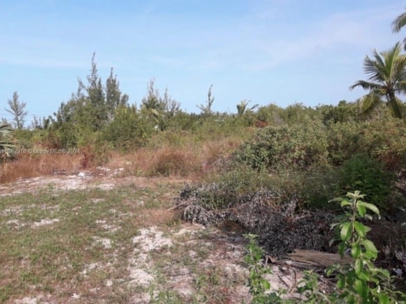 DOCTORS CREEK JPOSIAH TANTAILS, LONG ISLAND BAHAMAS, NA — #A11592918
