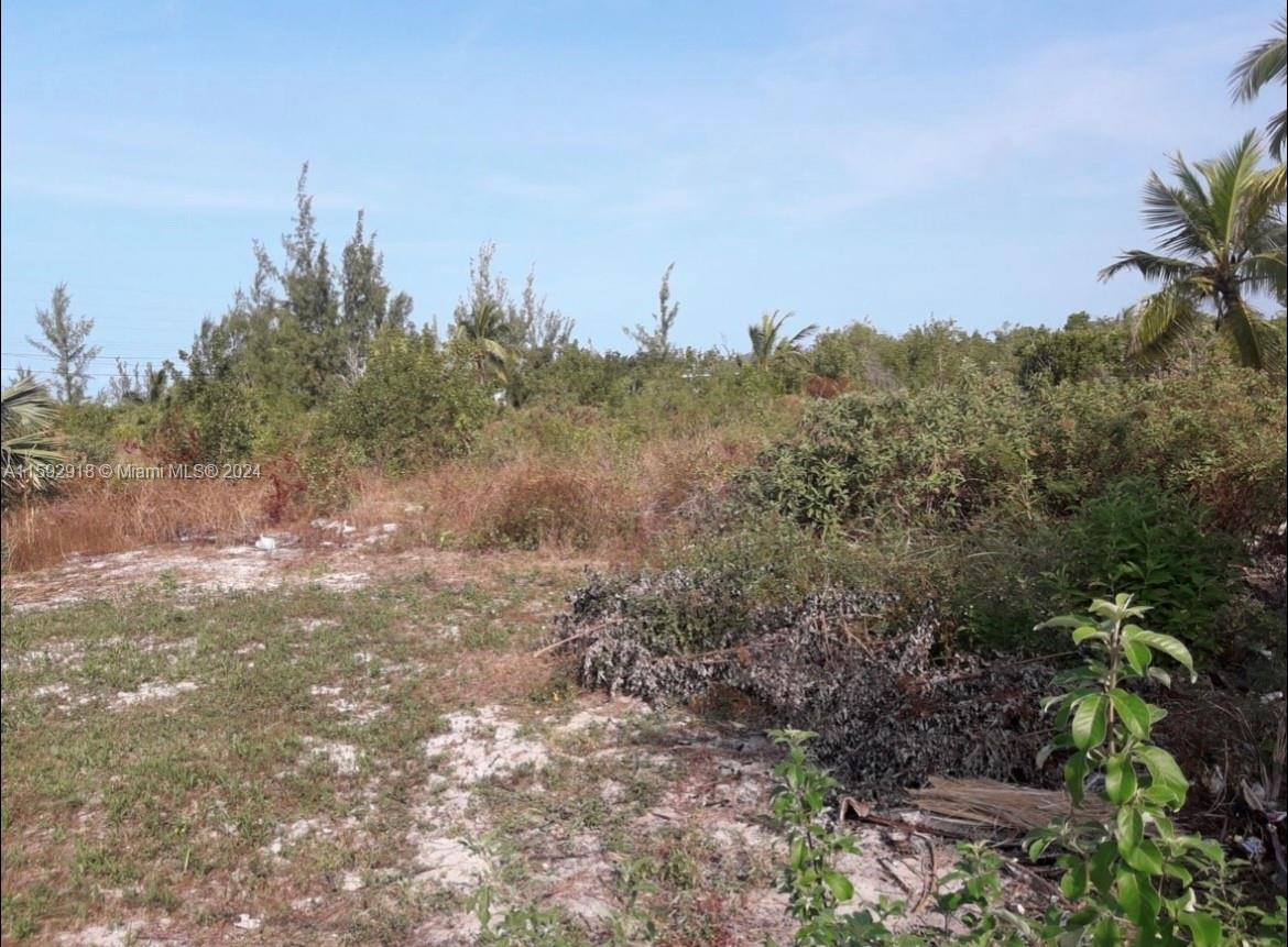 S DOCTORS CREEK JPOSIAH TANTAILS, LONG ISLAND BAHAMAS, NA — #A11592918