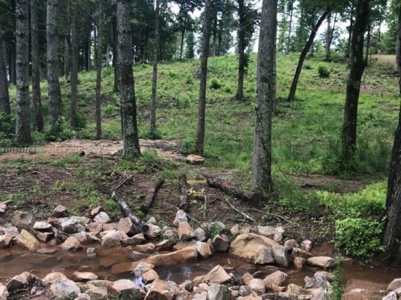 Yonah Lake Dr Lot 6, GA 30571 — #A11651037