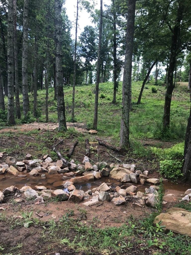 Yonah Lake Dr Lot 6, GA 30571 — #A11651037