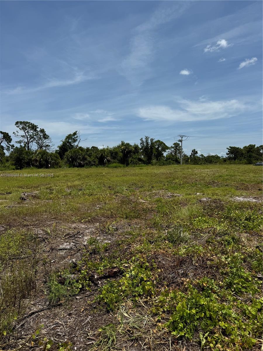 23 ROTONDA PLPz, Other City – In The State Of Florida FL 33947 — #A11808088