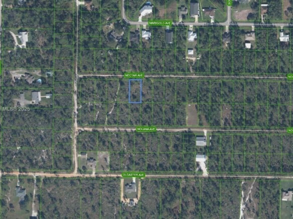 1829 Nectar Ave, Sebring FL 33875 — #A11745951