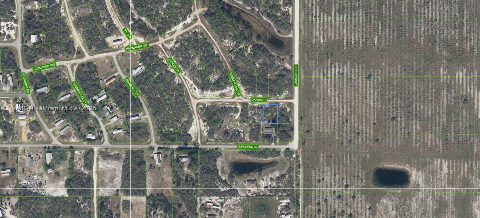 84b12bae-4006 509 Drama Court, Lake Placid FL 33852 — #A11746841