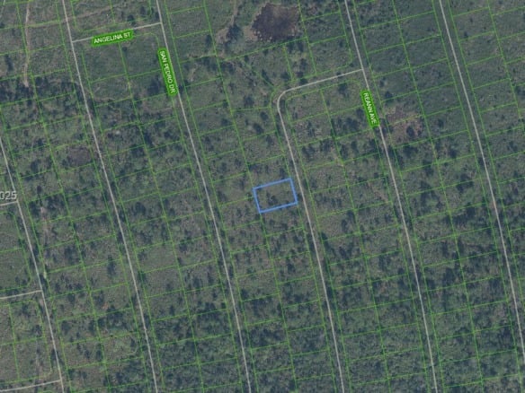 4509 Rosaro Ave, Sebring FL 33872 — #A11747797