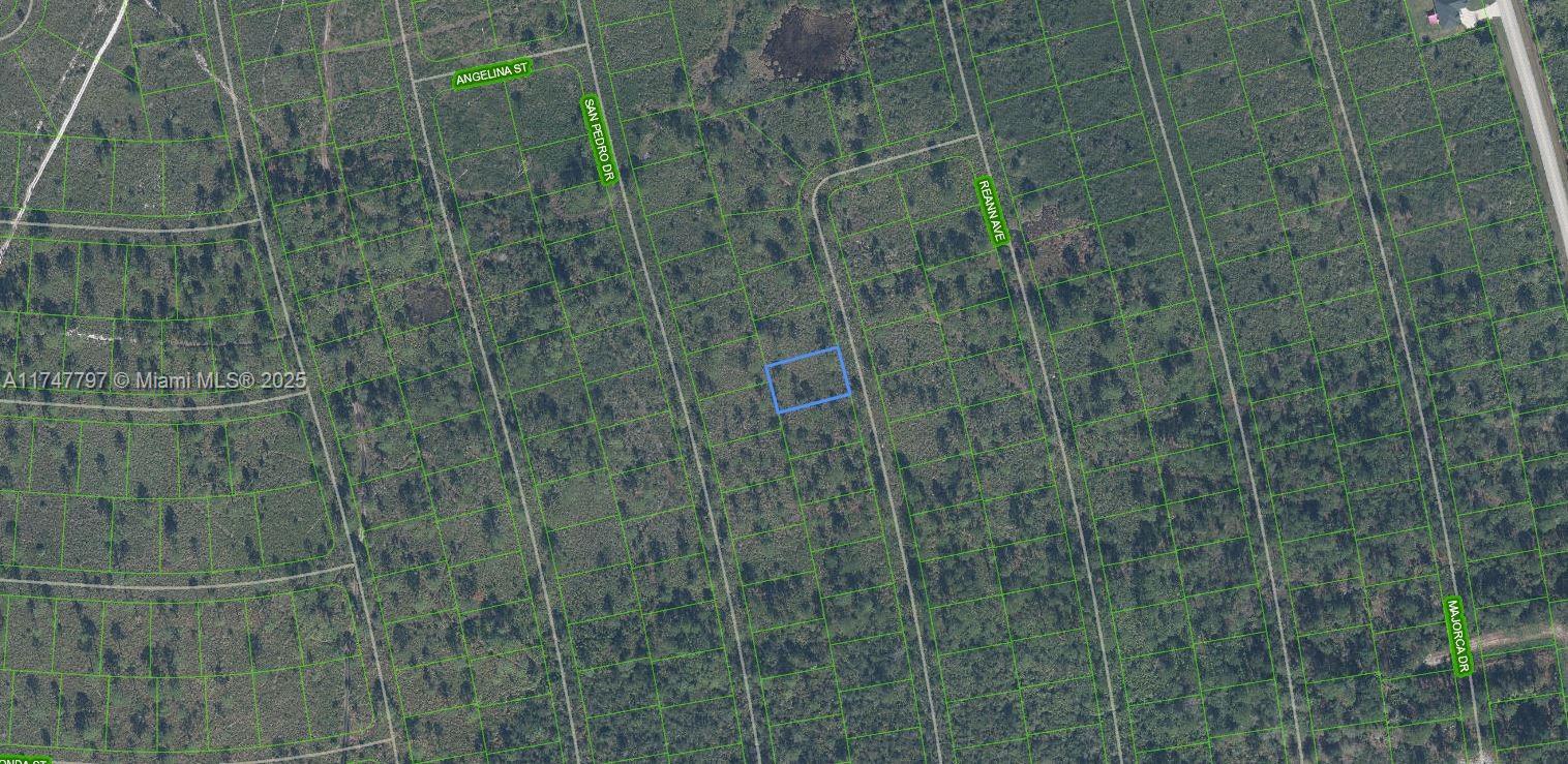 84b12bae-4020 4509 Rosaro Ave, Sebring FL 33872 — #A11747797