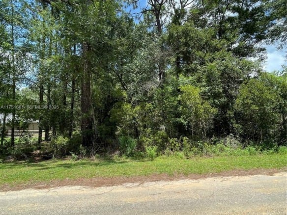 tbd SW 59th LN, Other City – In The State Of Florida FL 34431 — #A11751681