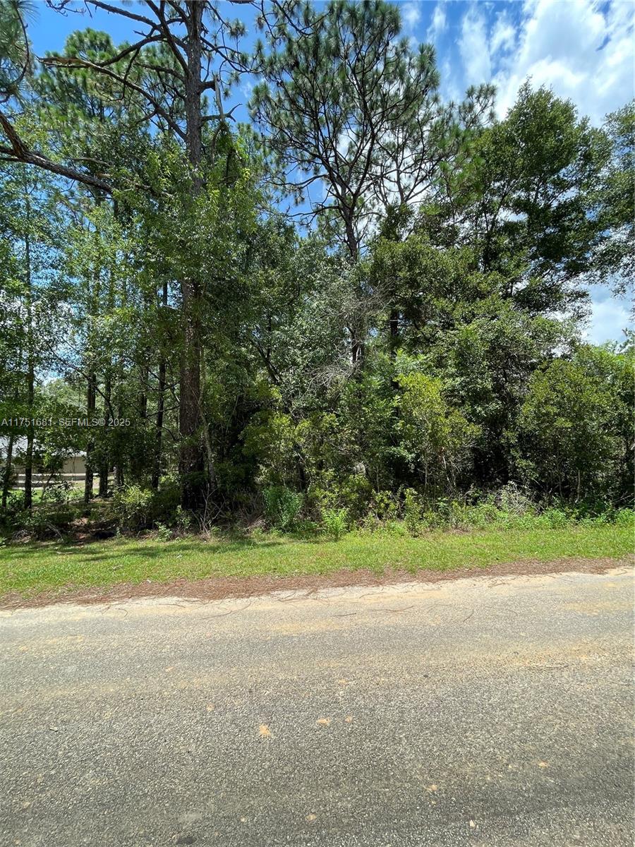 tbd SW 59th LN, Other City – In The State Of Florida FL 34431 — #A11751681
